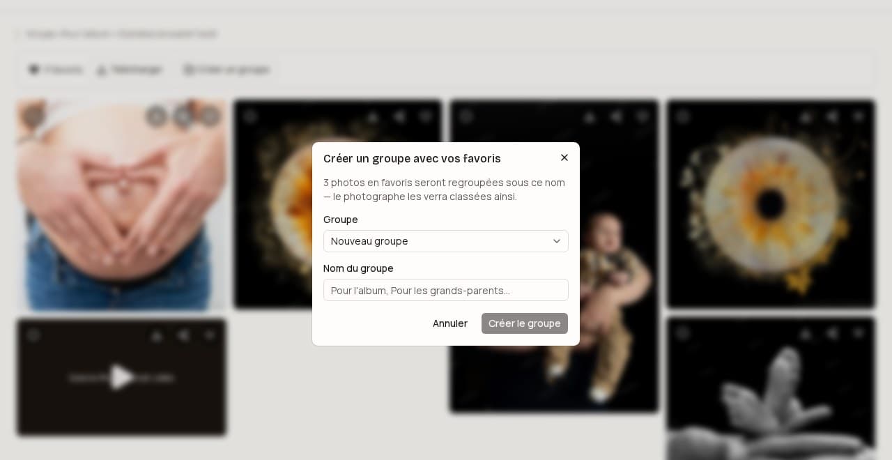 Sélection de plusieurs groupes de photos nommés dans une boîte de dialogue